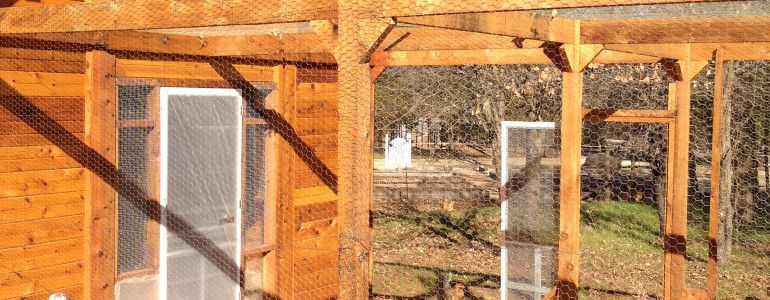 chicken house cage and yard